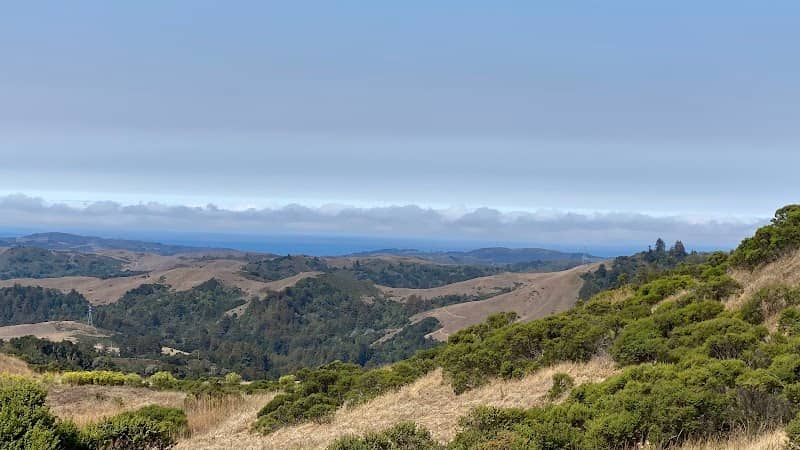 Lost Trail - Image 1