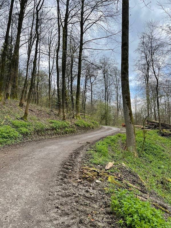 Teutoburger Wald - Image 1