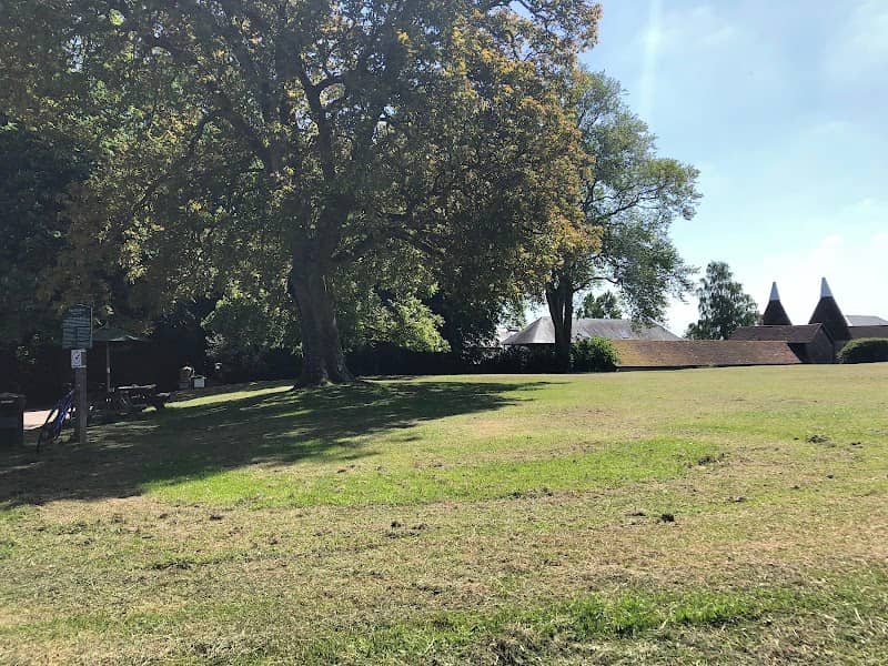 West Peckham Village Green - Image 2