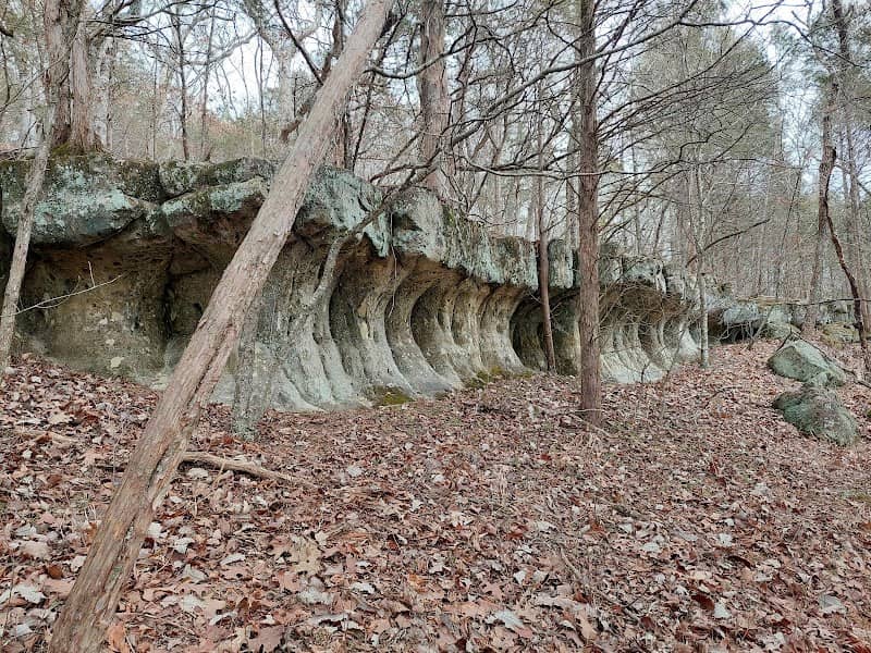 Don Robinson State Park - Image 2