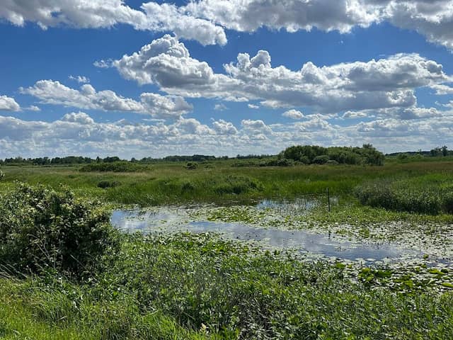 Magee Marsh Wildlife Area - Image 1