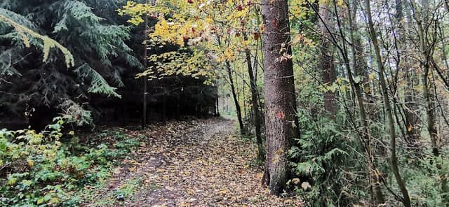 Studánka - Image 1