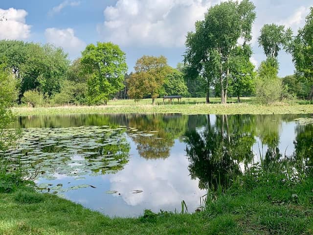 Carlton Ponds - Image 1