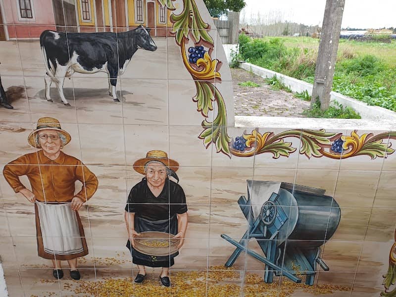 Fonte do Janga - Image 1