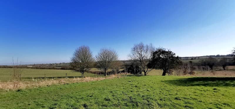 Helmdon Jubilee Wood - Image 1