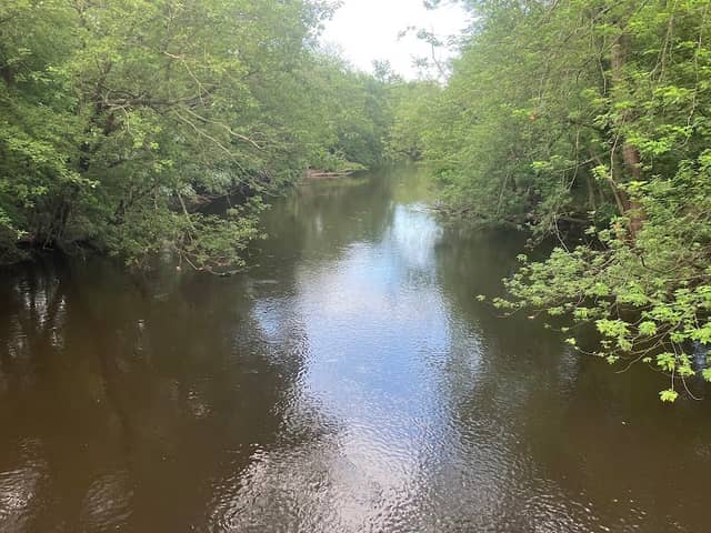 Charles River Greenway Access - Image 1