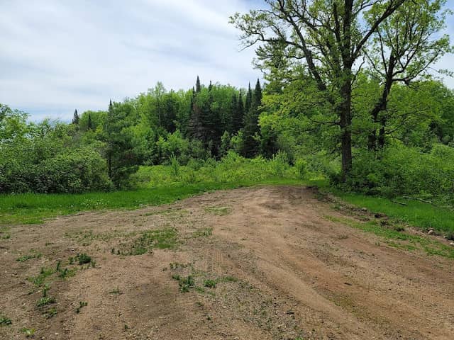 Birchdale Wildlife Management Area - Image 1