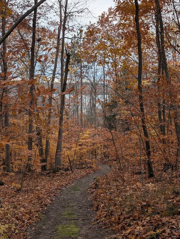 North Shore Nature Area - Image 1