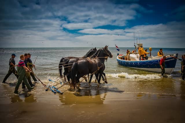 Stichting Paardenreddingboot Ameland - Image 1