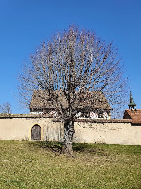 Raymontpierre Castle - Image 1