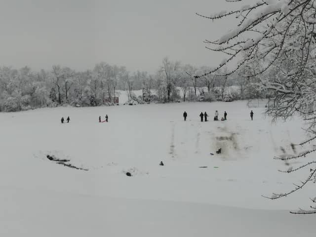 Greenwood sledding hill - Image 1