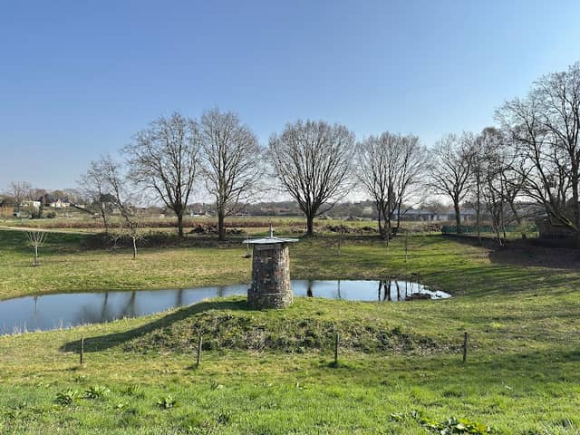 De paddepoel - Image 1