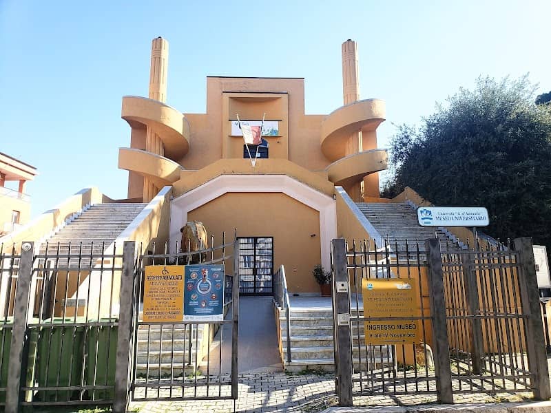 University Museum of Chieti - Image 1