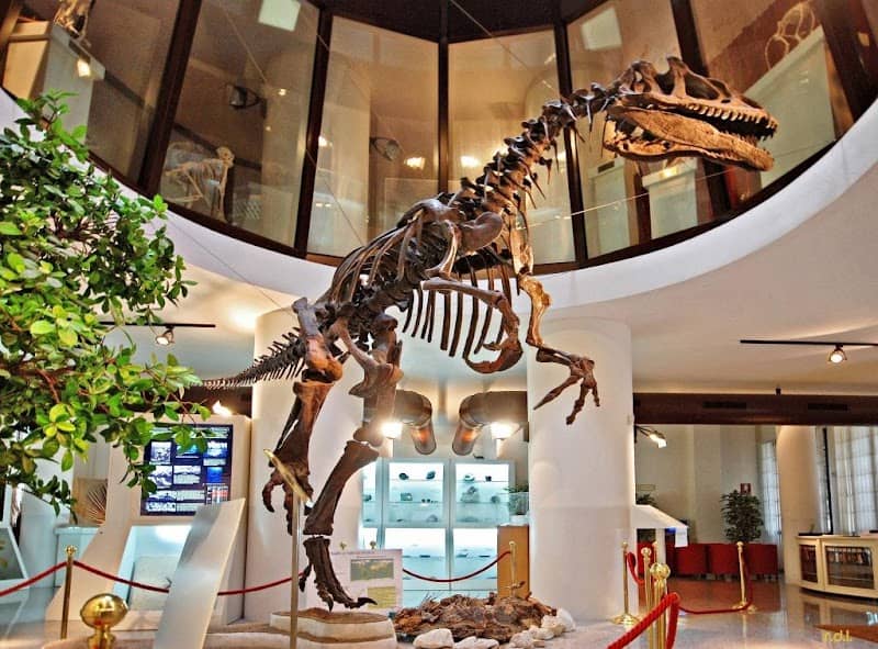 University Museum of Chieti - Image 2