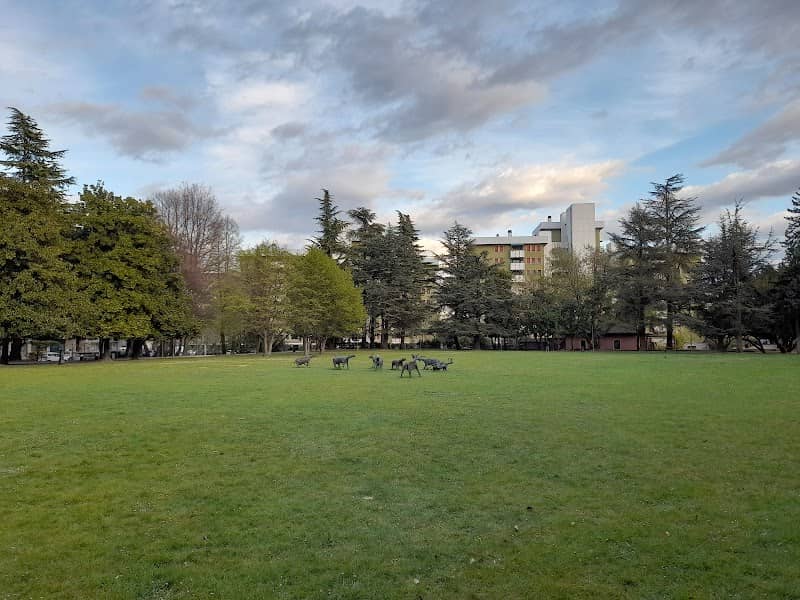 Parco Galvani - Image 2