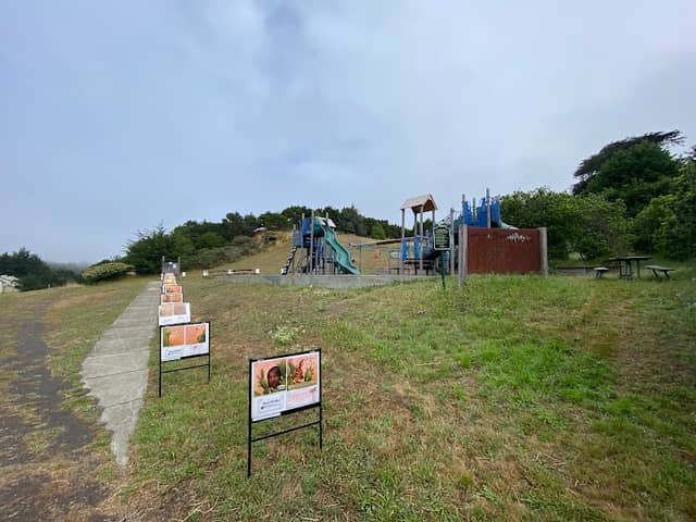 Fisherman‘s Playground - Image 1