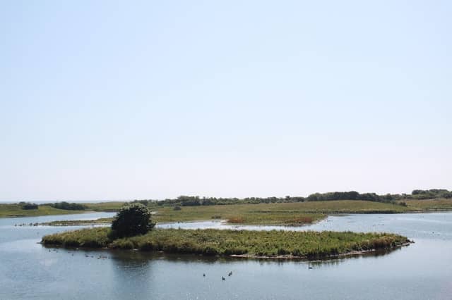 Hauxley Wildlife Discovery Centre - Image 2