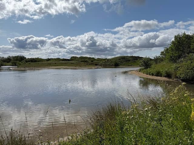 Hauxley Wildlife Discovery Centre - Image 3