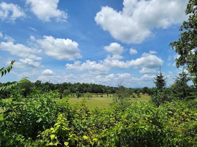 Horton Vineyards - Image 2