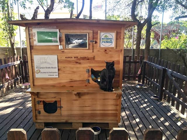 Aldeia dos Gatos - Image 1