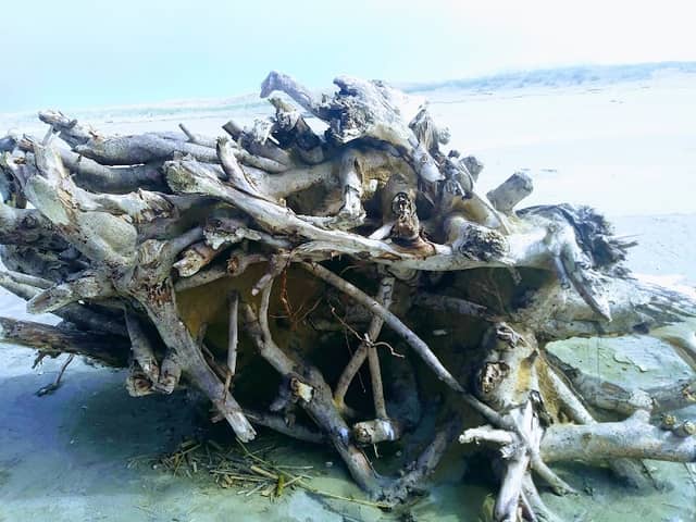 Oceanside - Image 2