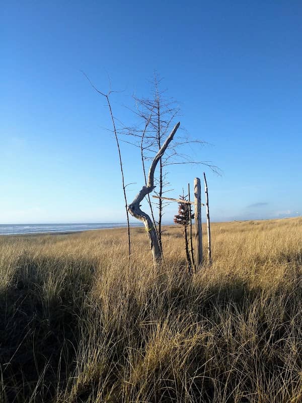 Oceanside - Image 1