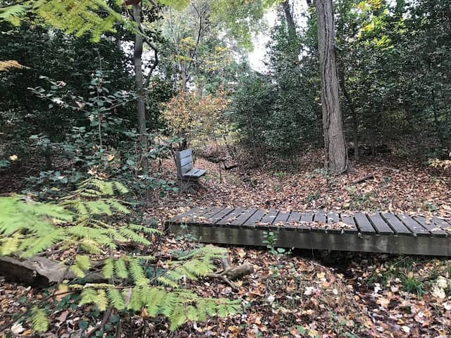 Magruder Spring Park - Image 1