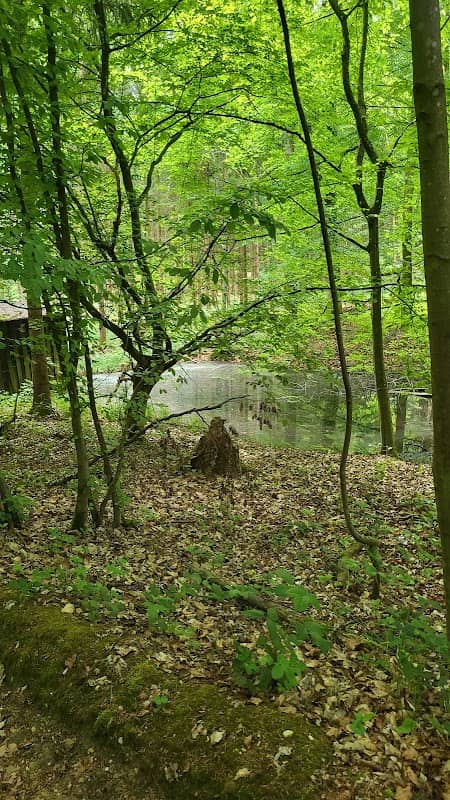 Aubach Quelle - Image 2