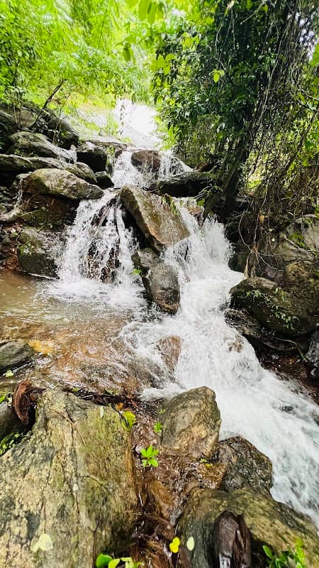 Chevittanikunn Water Falls - Image 1