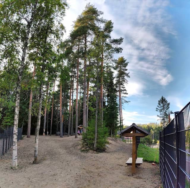 Puijonlaakson koirapuisto - Image 2
