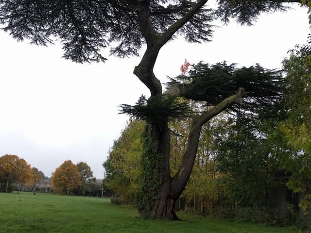 Public Green Demesne - Image 2