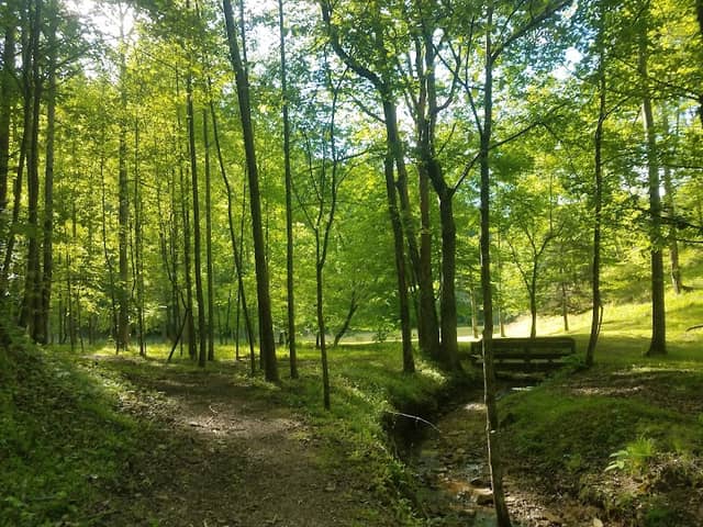 Elkhorn Park - Image 1