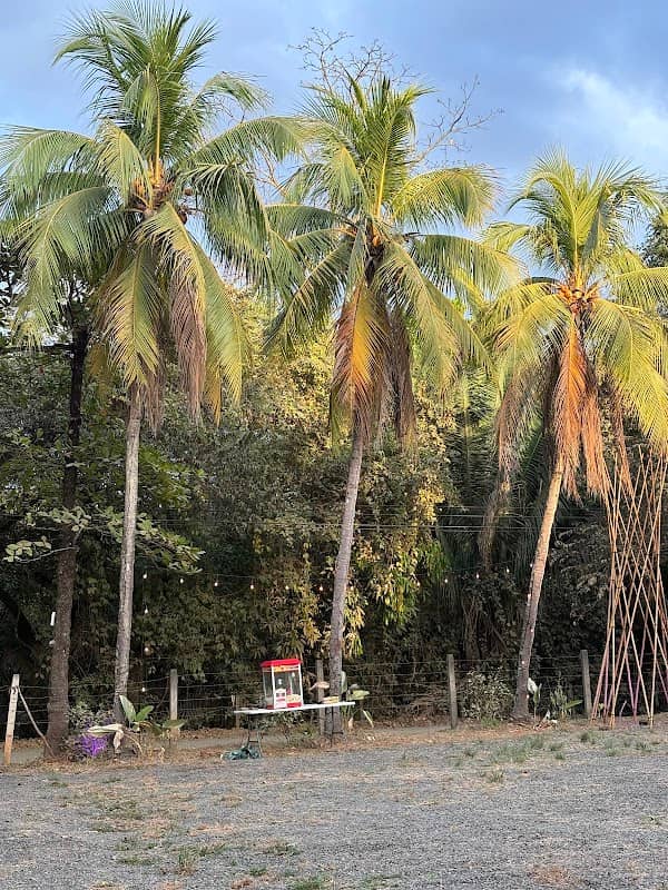Parque Recreativo Rio Nosara - Image 1