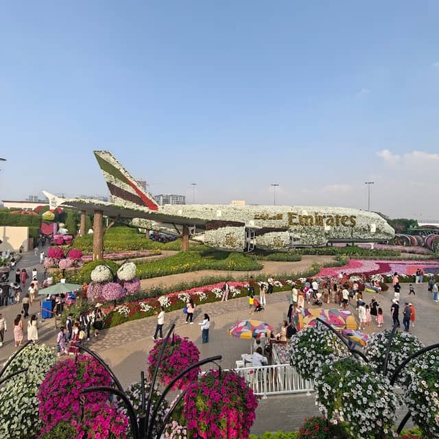 Miracle Garden / butterfly park Bus stop - Image 2