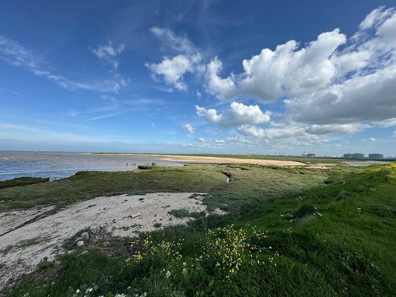 Allhallows Marshes - Image 2