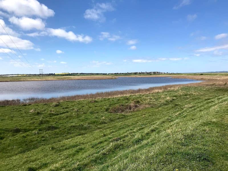 Allhallows Marshes - Image 3