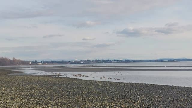 Semiahmoo Park - Image 2