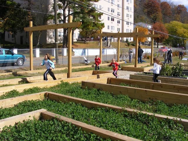 Ramella Park Community Garden of Eatin' - Image 1