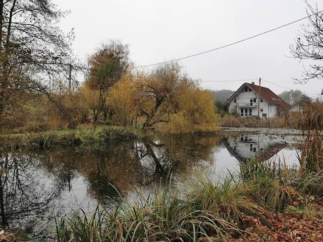Dorfweiher Siggenweiler - Image 1