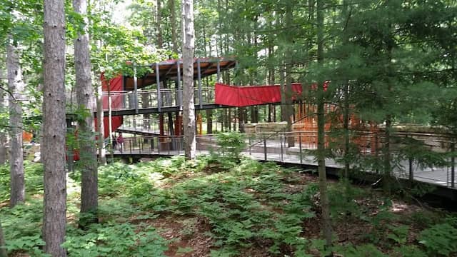 Whiting Forest of Dow Gardens - Image 3