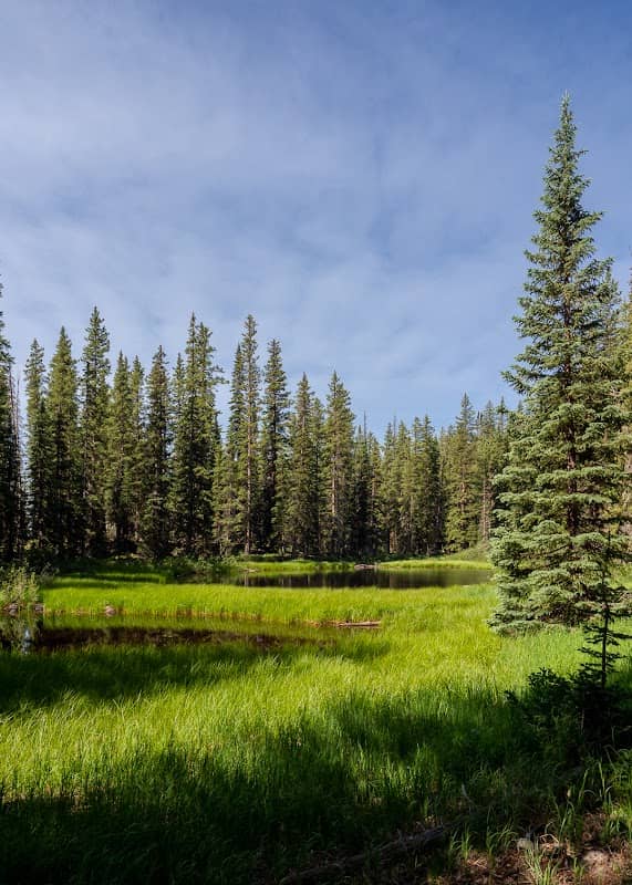 Crag Crest Trail - Image 2