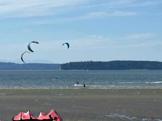 Jetty Island - Image 2