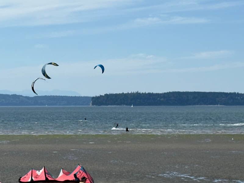 Jetty Island - Image 2