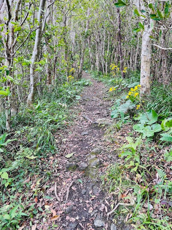 名護岳登山口 - Image 2