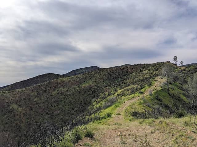 Valley Vista Regional Park - Image 2