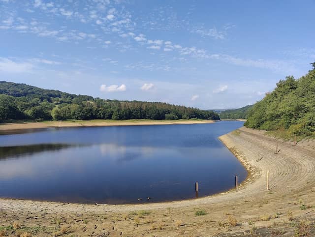 More Hall Dam Wood - Image 1