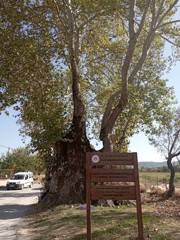 Karabağlar - Image 1