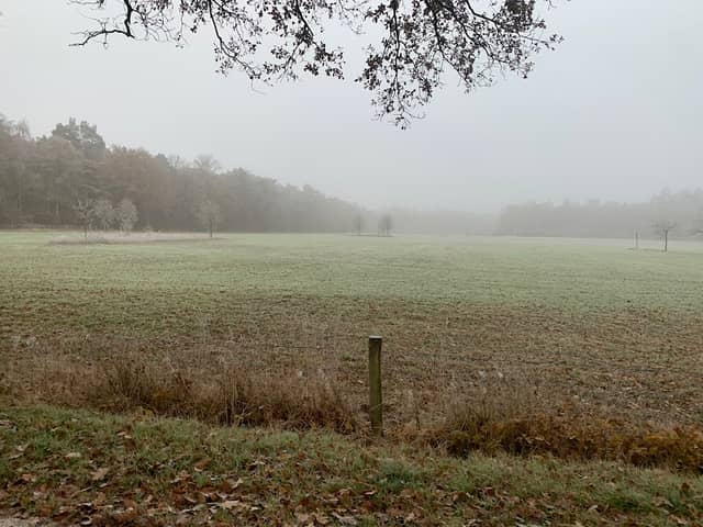 Wandeling Omgeving Joppe - Image 2