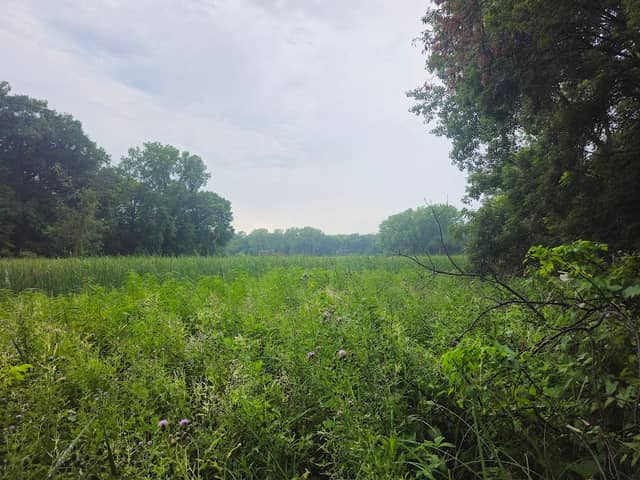 Lake Rose Park - Image 2