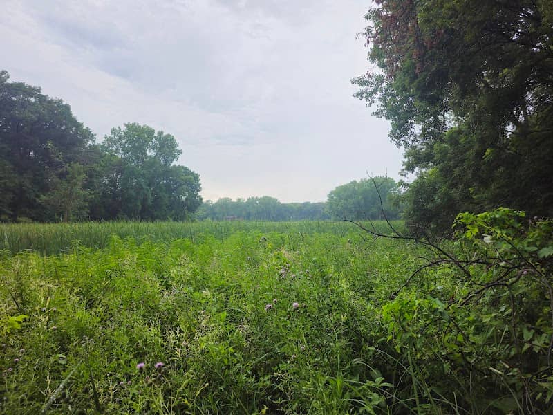 Lake Rose Park - Image 2